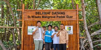 PLN UIP Nusra dan Warga Padak Guar Siapkan Pengelolaan Wisata Mangrove Berkelanjutan